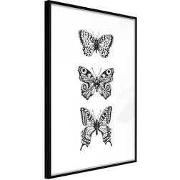 Arkiio Affisch Three Butterflies [Poster] 40x60 Poster